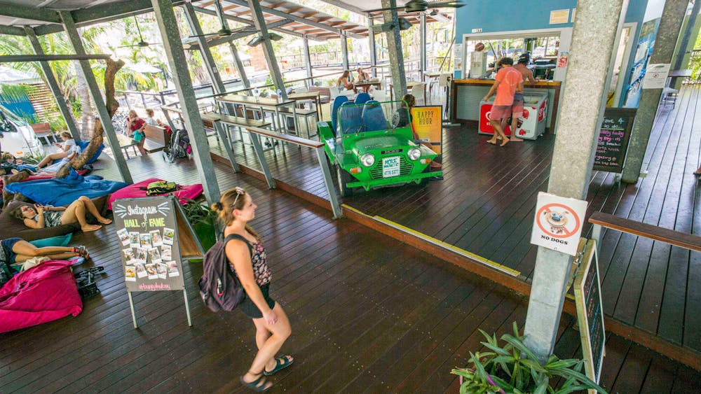 Bungalow Bay Koala Village