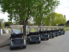 A line of golf carts sitting alongside the road availbale for hire