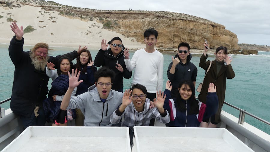 Marion Bay Ocean Safari Customised Group Tours & Private Charters
