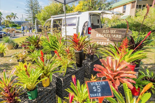 Yamba River Markets
