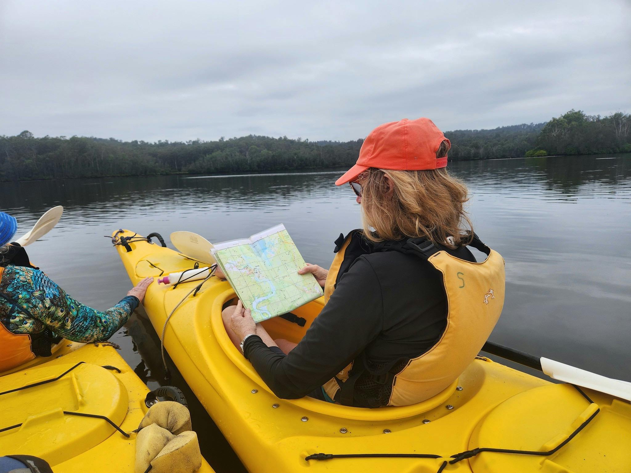 Learn to read maps