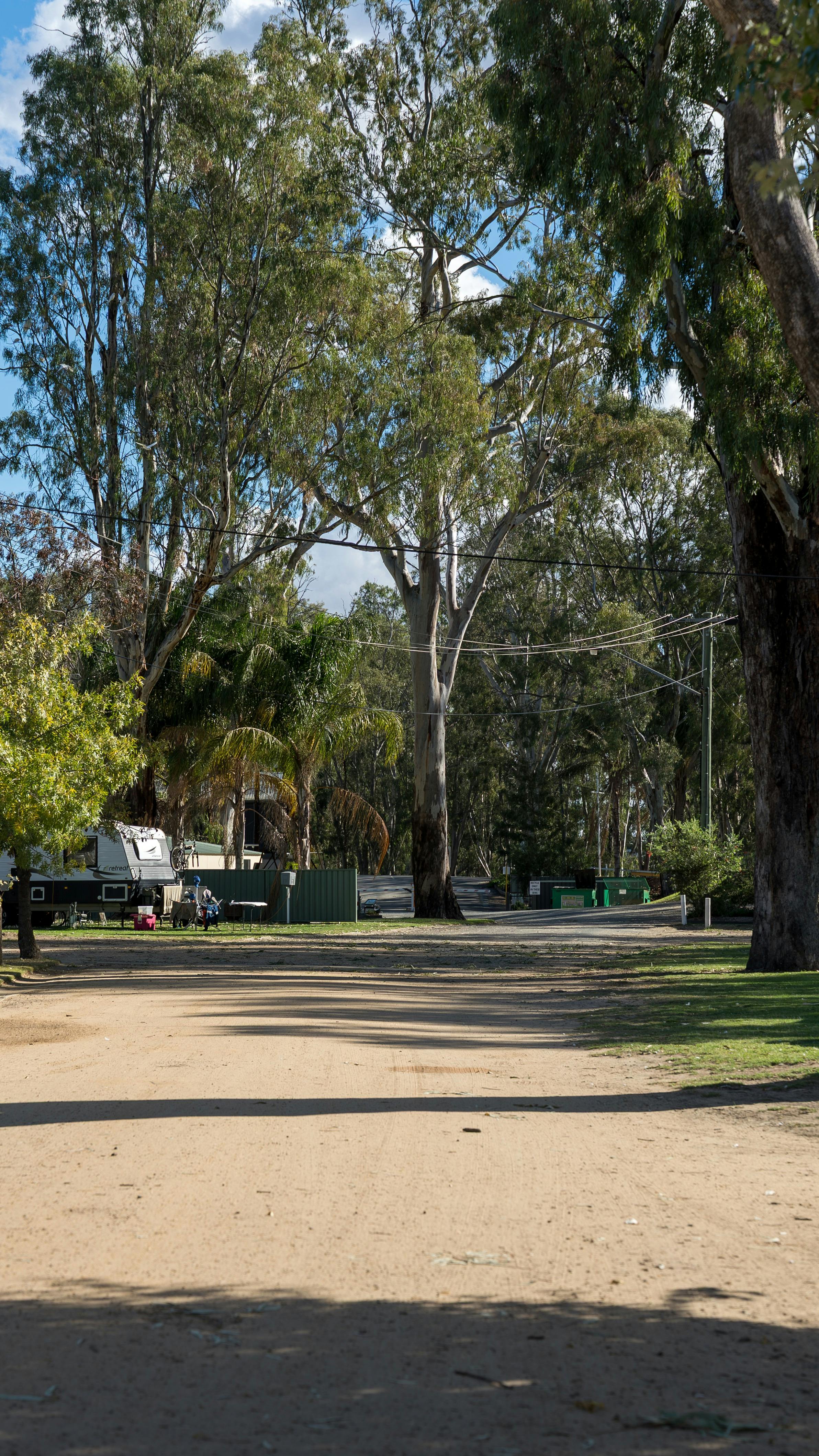 Site