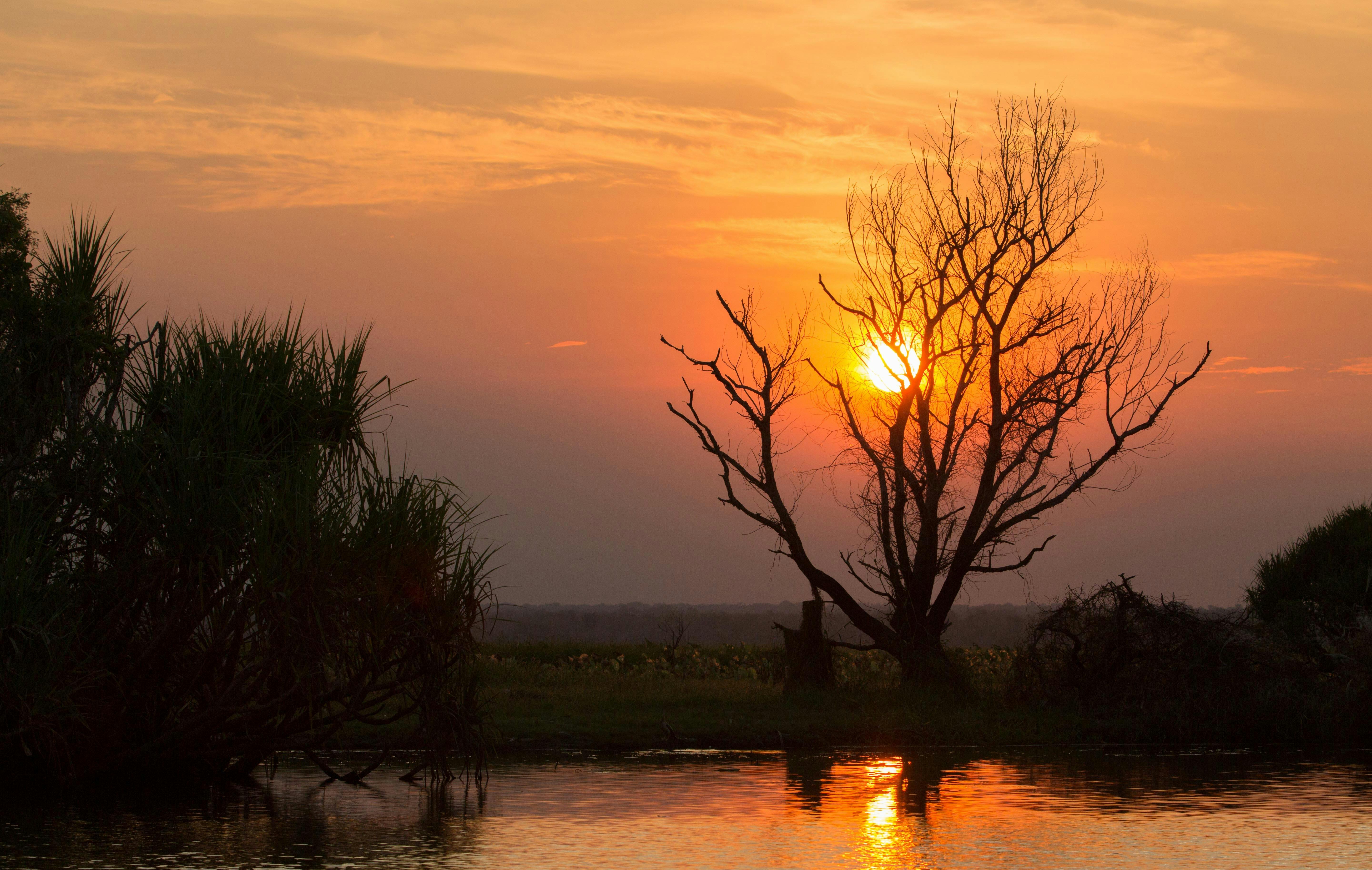 Sunset on Corroboree Billabong