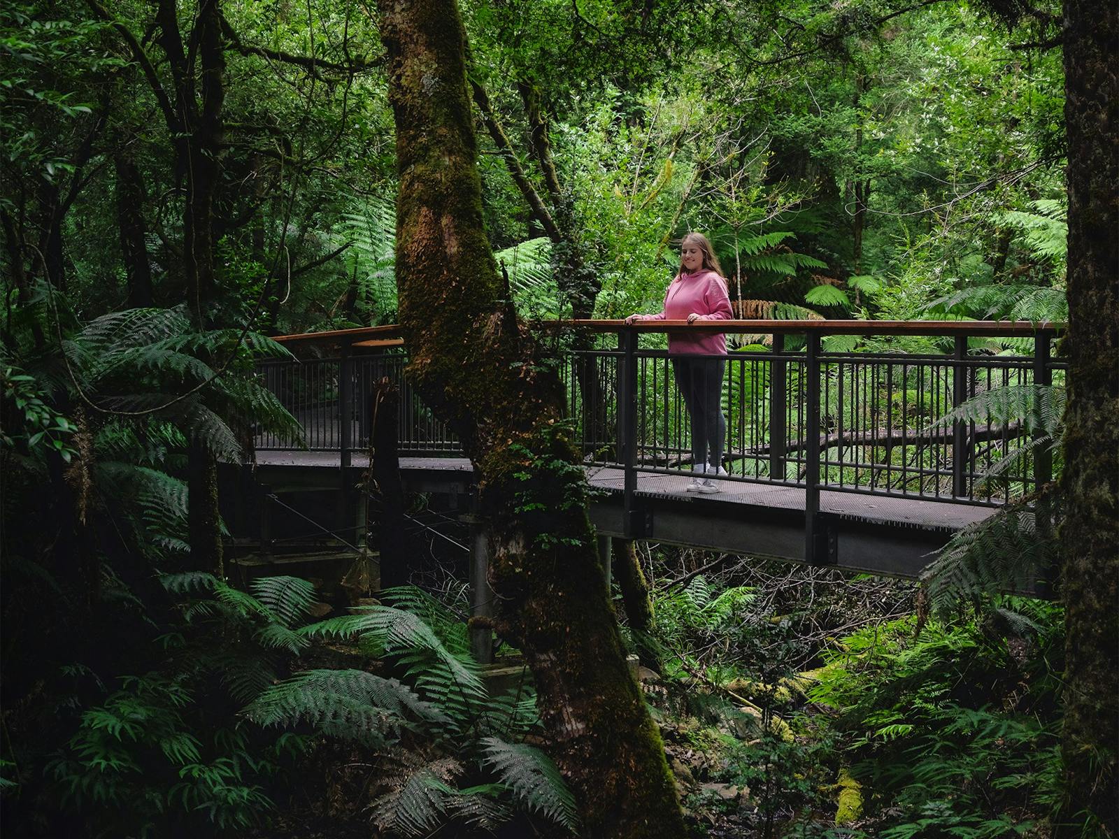 Wirrawilla Rainforest Walk