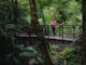 Wirrawilla Rainforest Walk