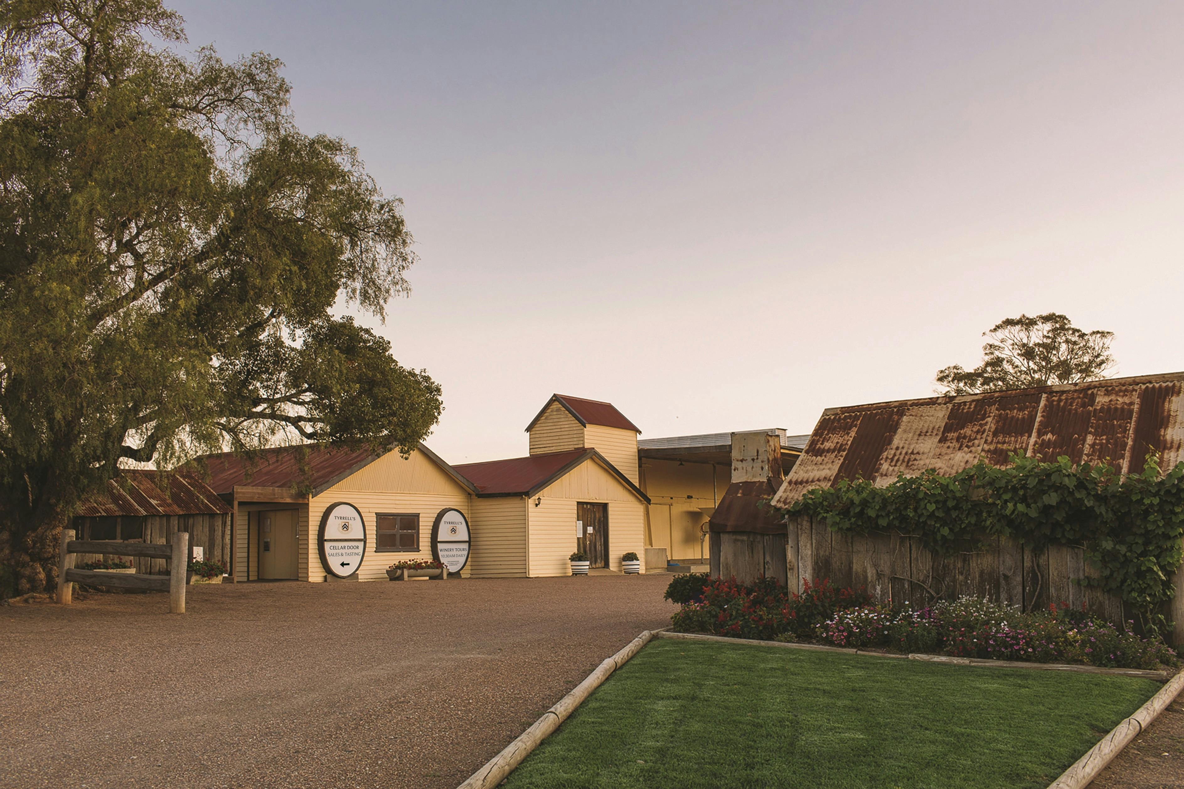 Tyrrell's Cellar Door and Old Hut