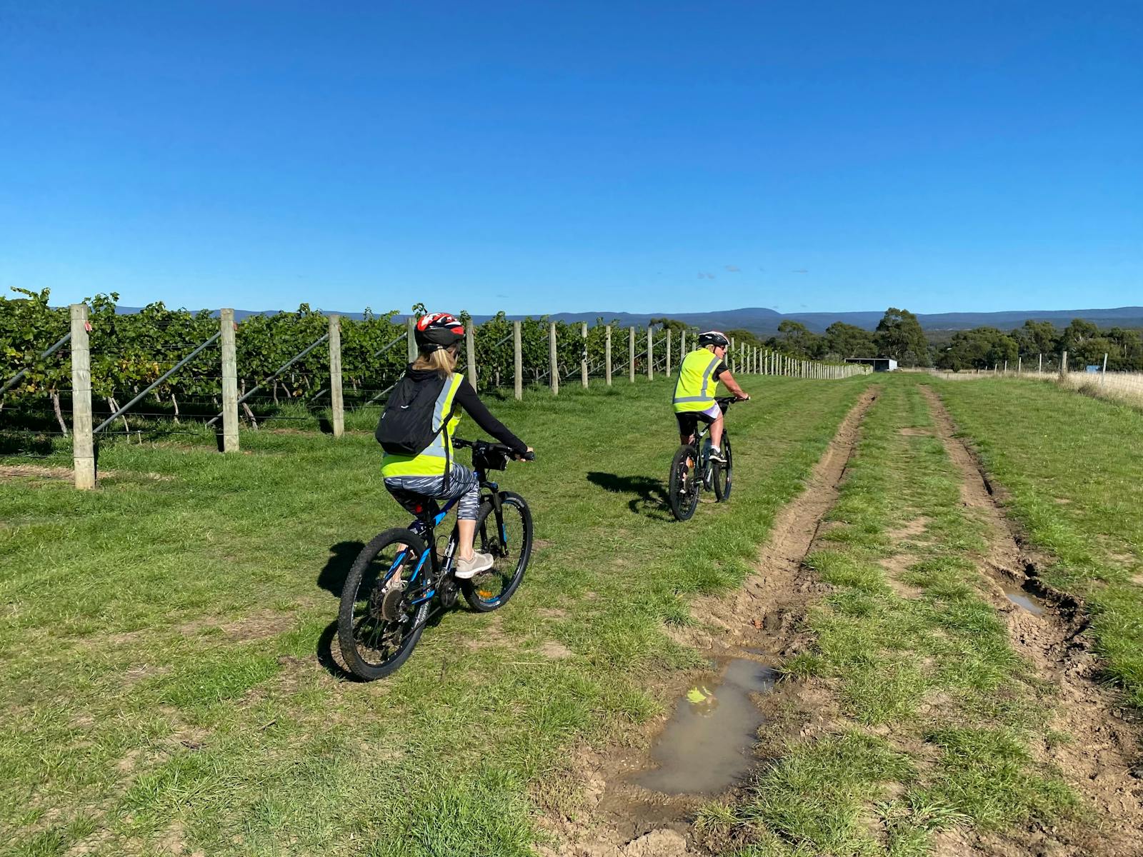 Melrose Vineyard cycling