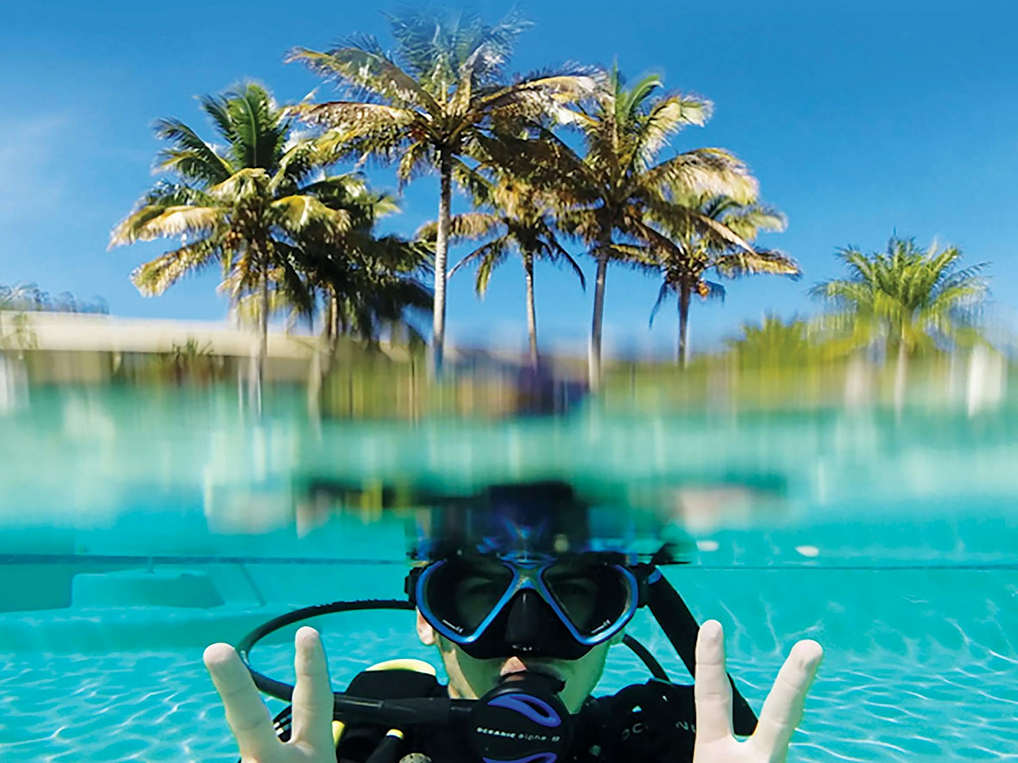PADI PADI