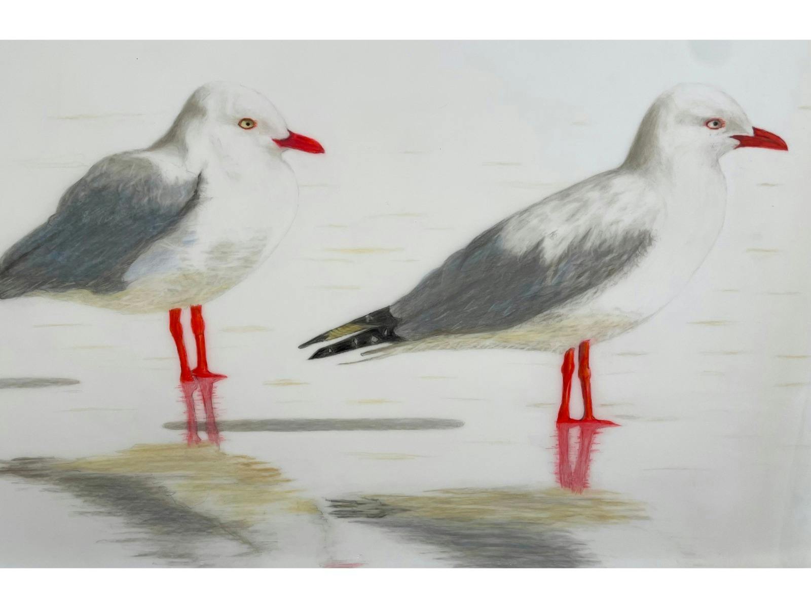 Art Exhibition by Tasmanian Artist featuring birds and sealife