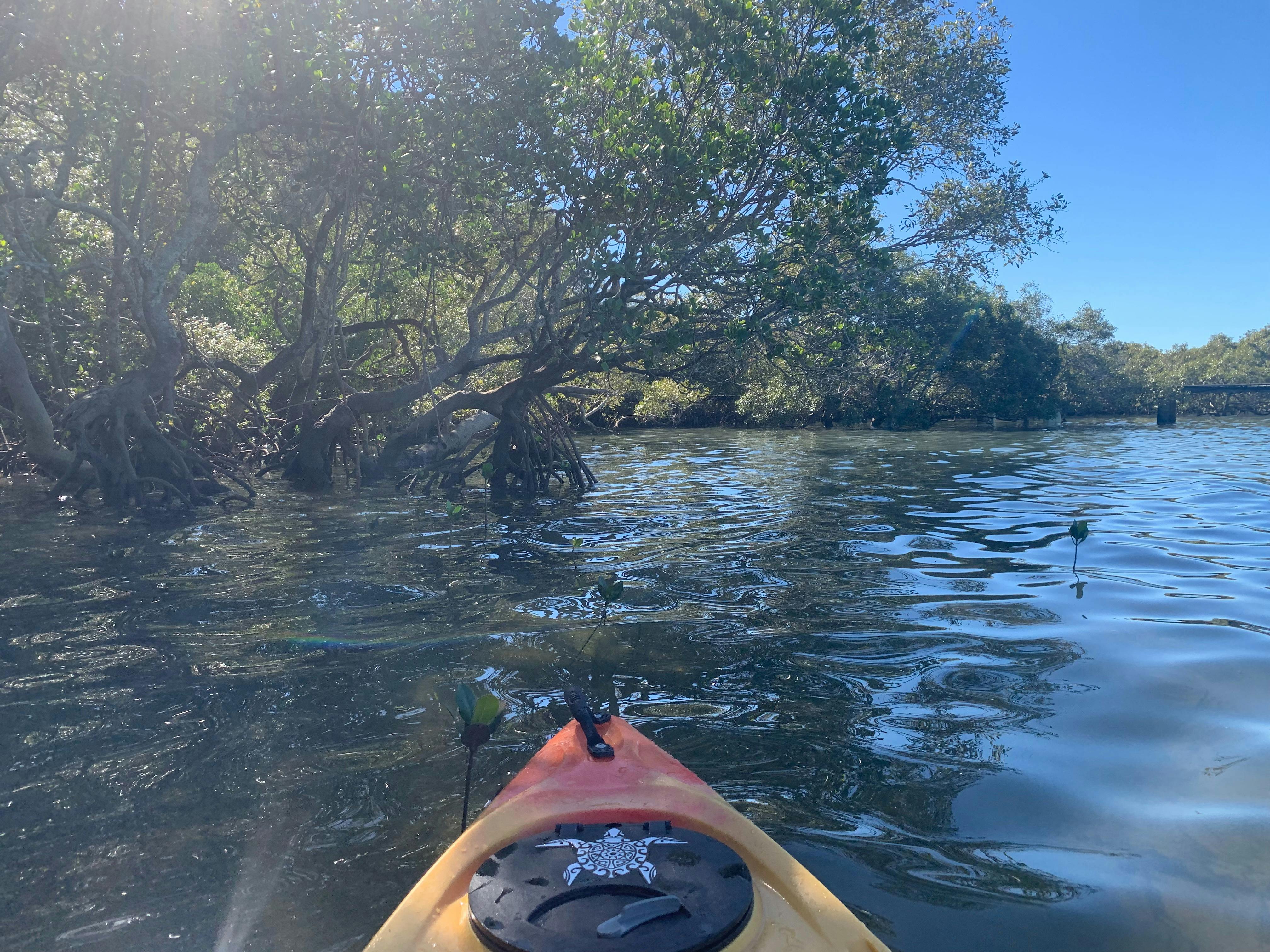 Creek Kayaking