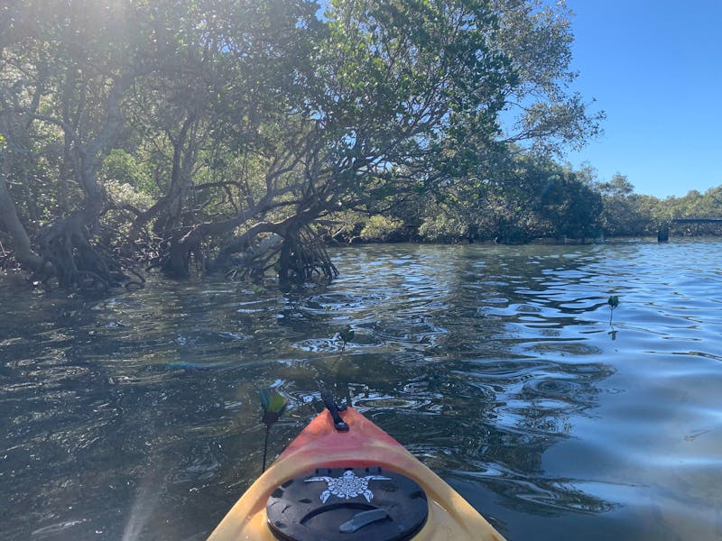 Creek Kayaking