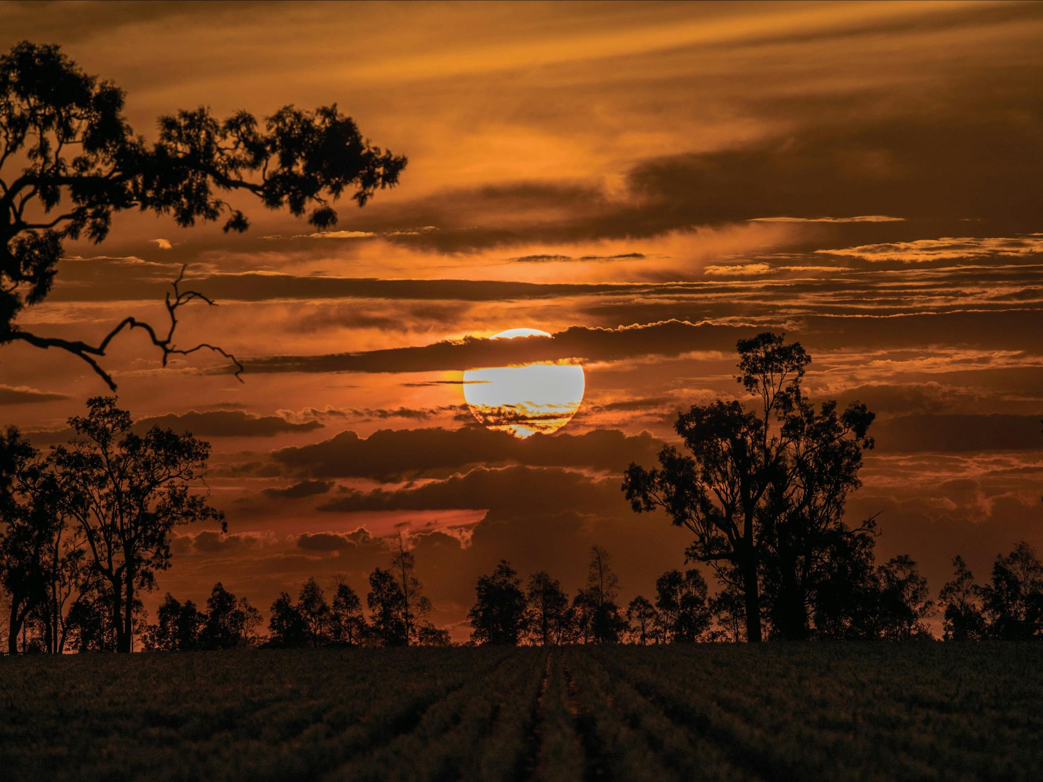 Windorah Sunset