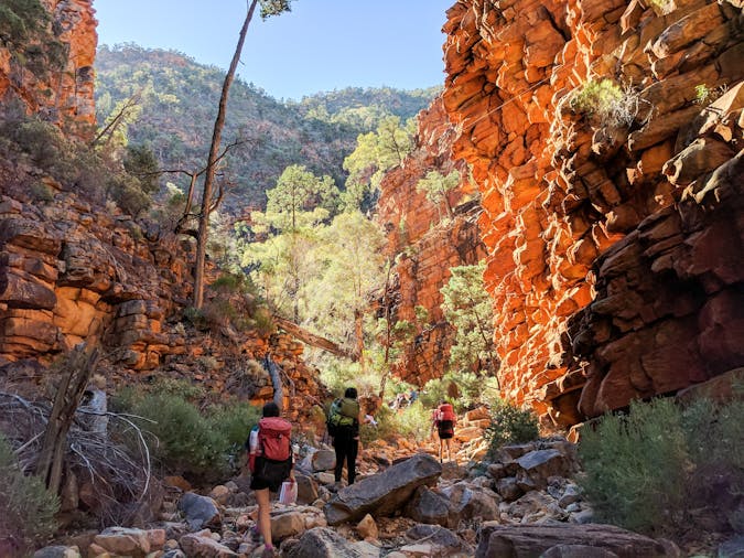 Nature Culture Adventure Wine A Journey to the Flinders and back