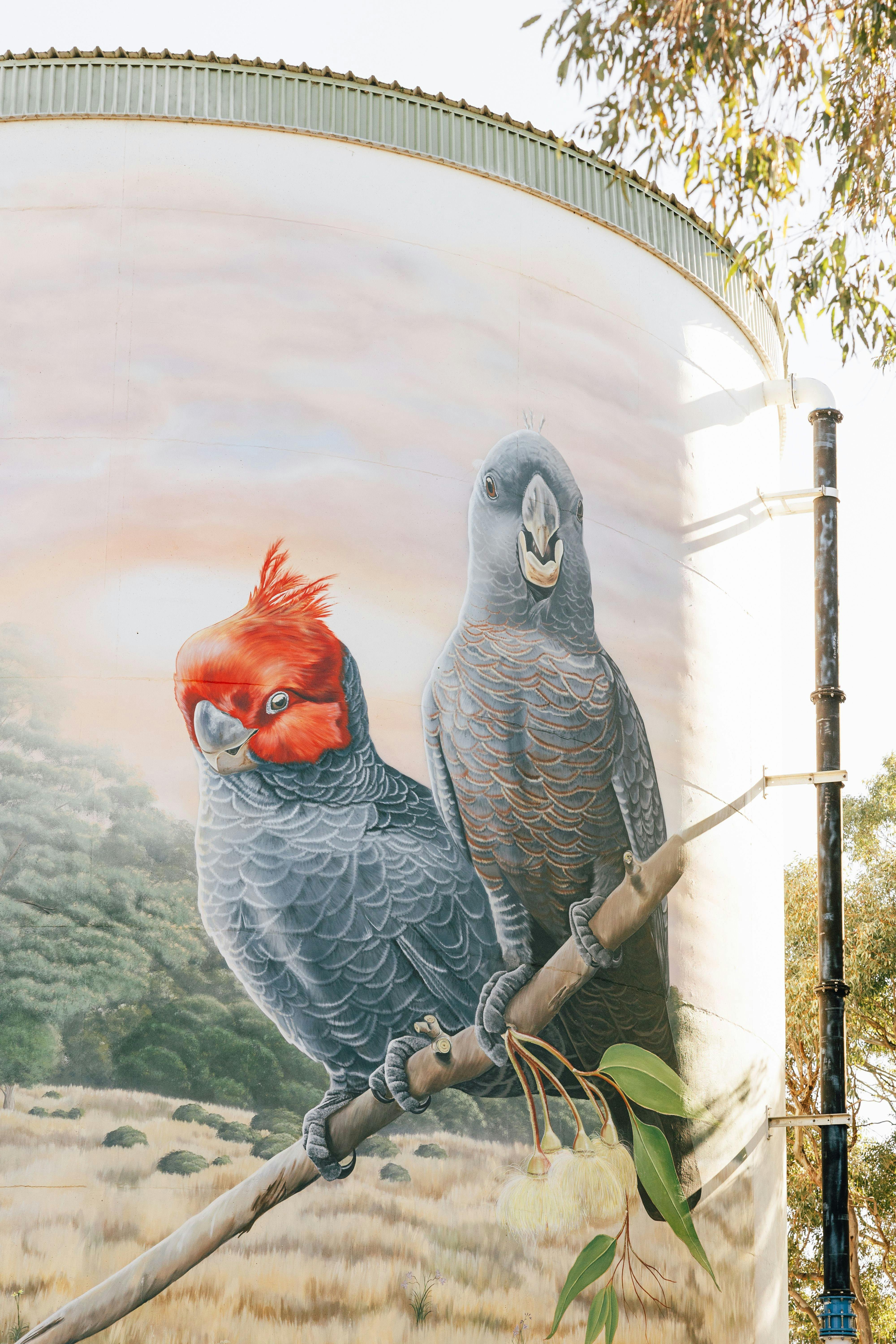 Murrumbateman Water Tank Mural