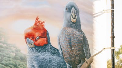 Murrumbateman Water Tank Mural