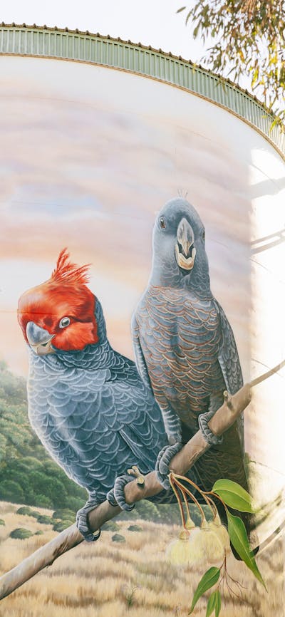 Murrumbateman Water Tank Mural