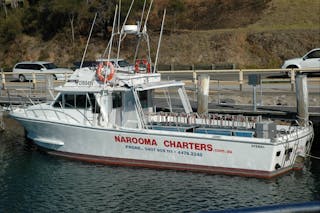 Narooma Charters and Montague Island Tours