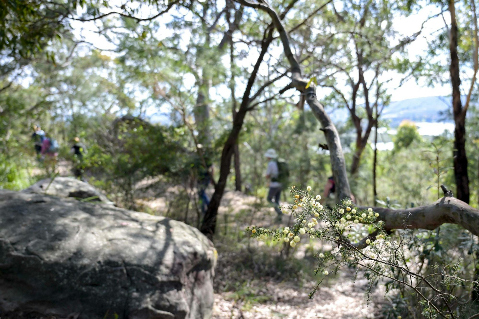 Hawkesbury River-Mouth Walk