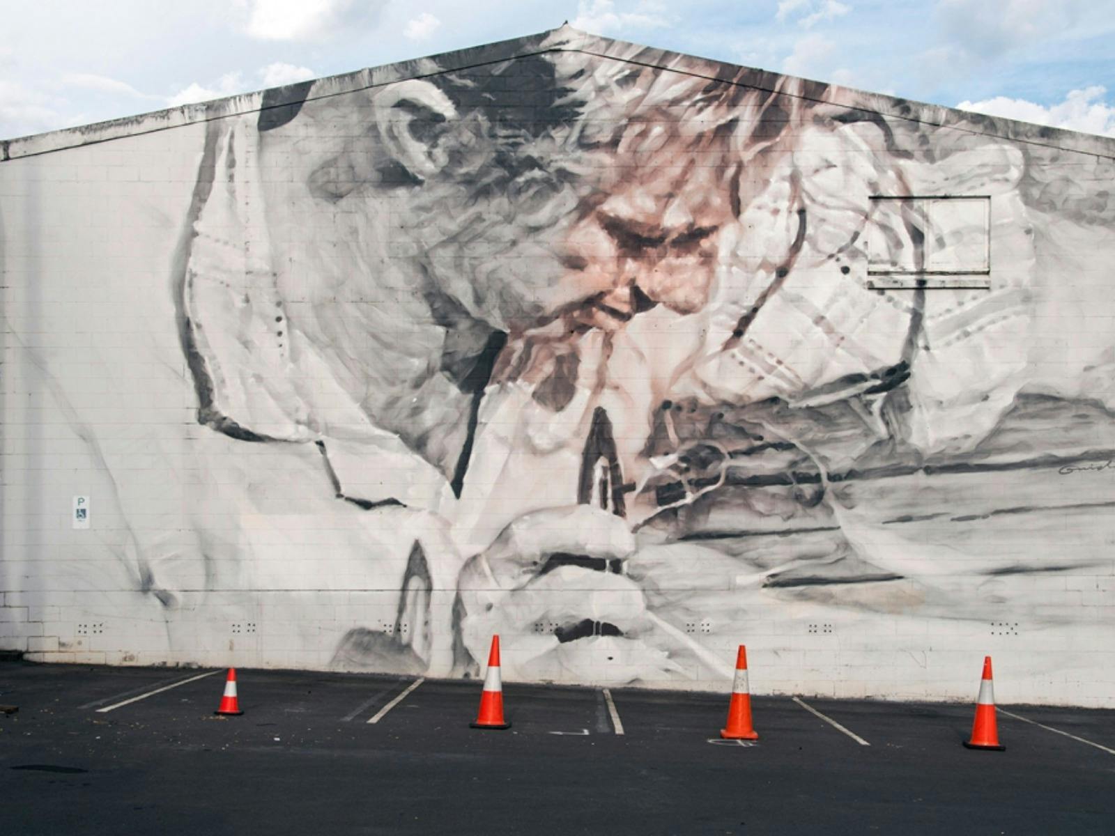 Mural by Guido van Helten
