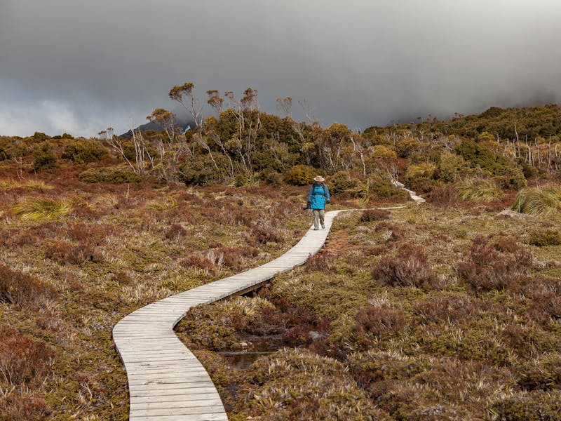A guest walkig along wooden path through Alpine moorland on Hartz Mountain