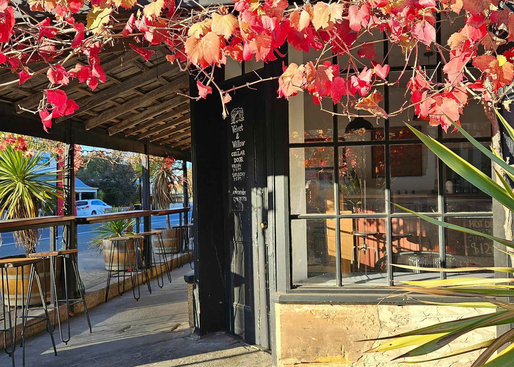 Velvet and Willow Wines