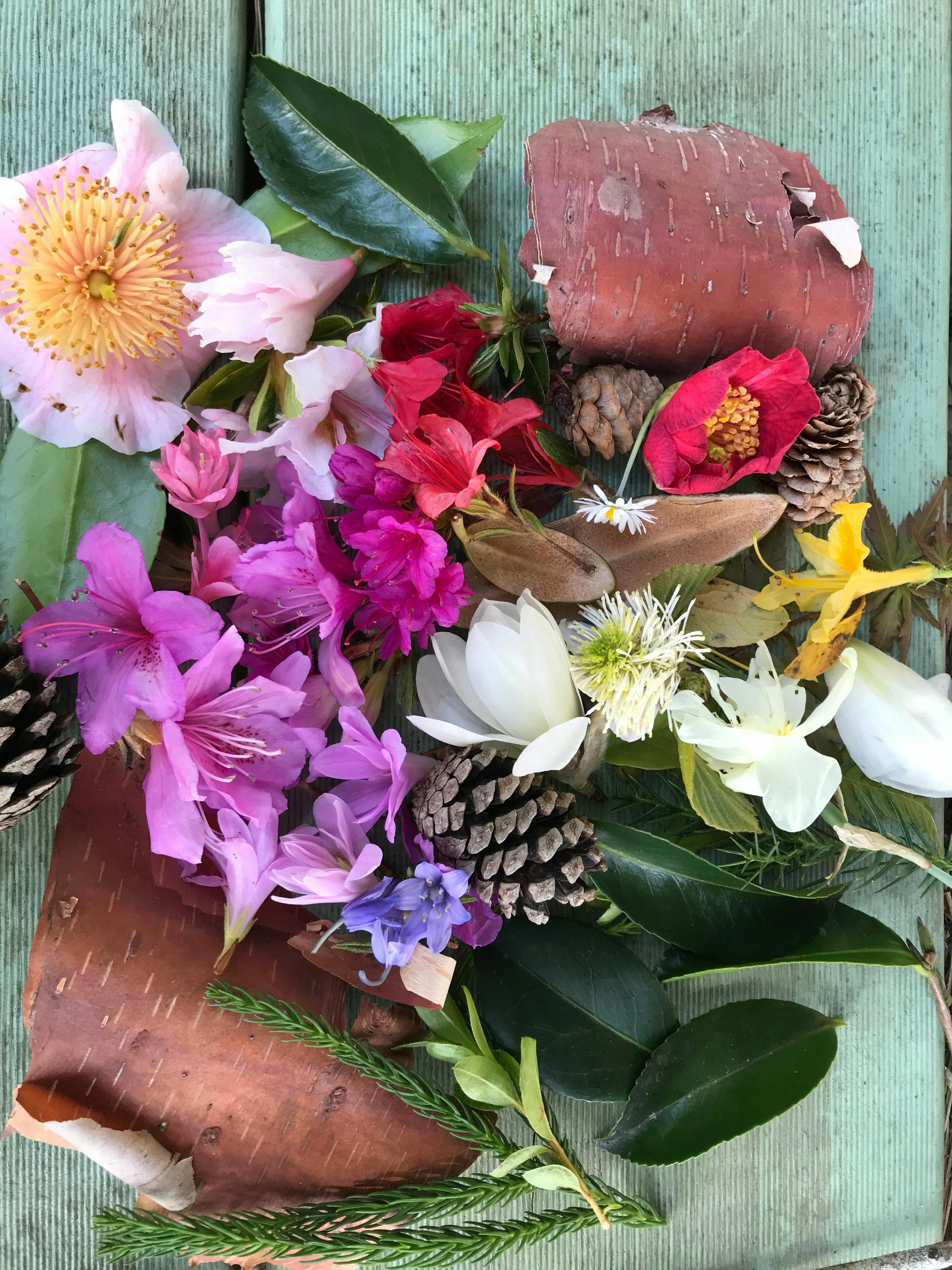 flowers in many colours.