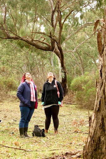 Forest Bathing Experience