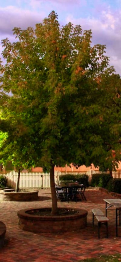 The beer garden at the Royal Hotel Adelong, Snowy Valleys, on the Snowy Mountains Highway,  NSW