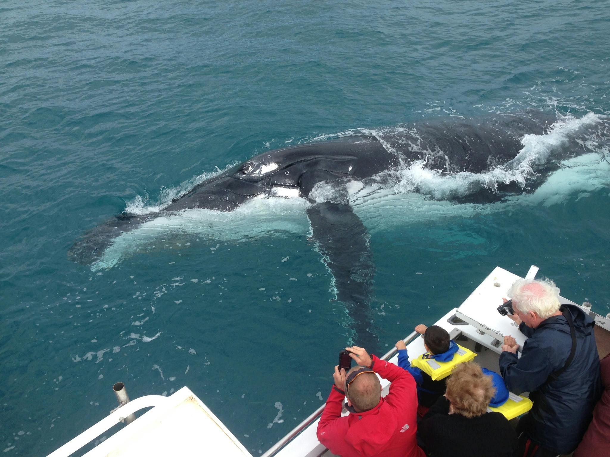 Reefwalker Charters, Kalbarri, Western Australia