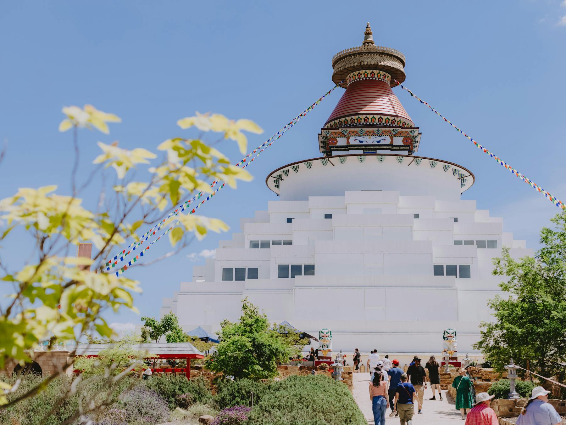 White stupa with blue sky and branch with leaves from left side covering part of the sky