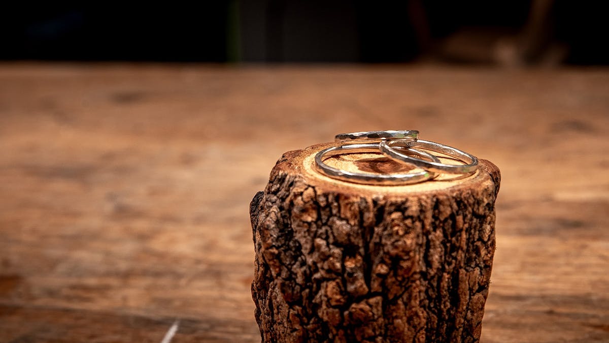 3 silver rings displayed on log