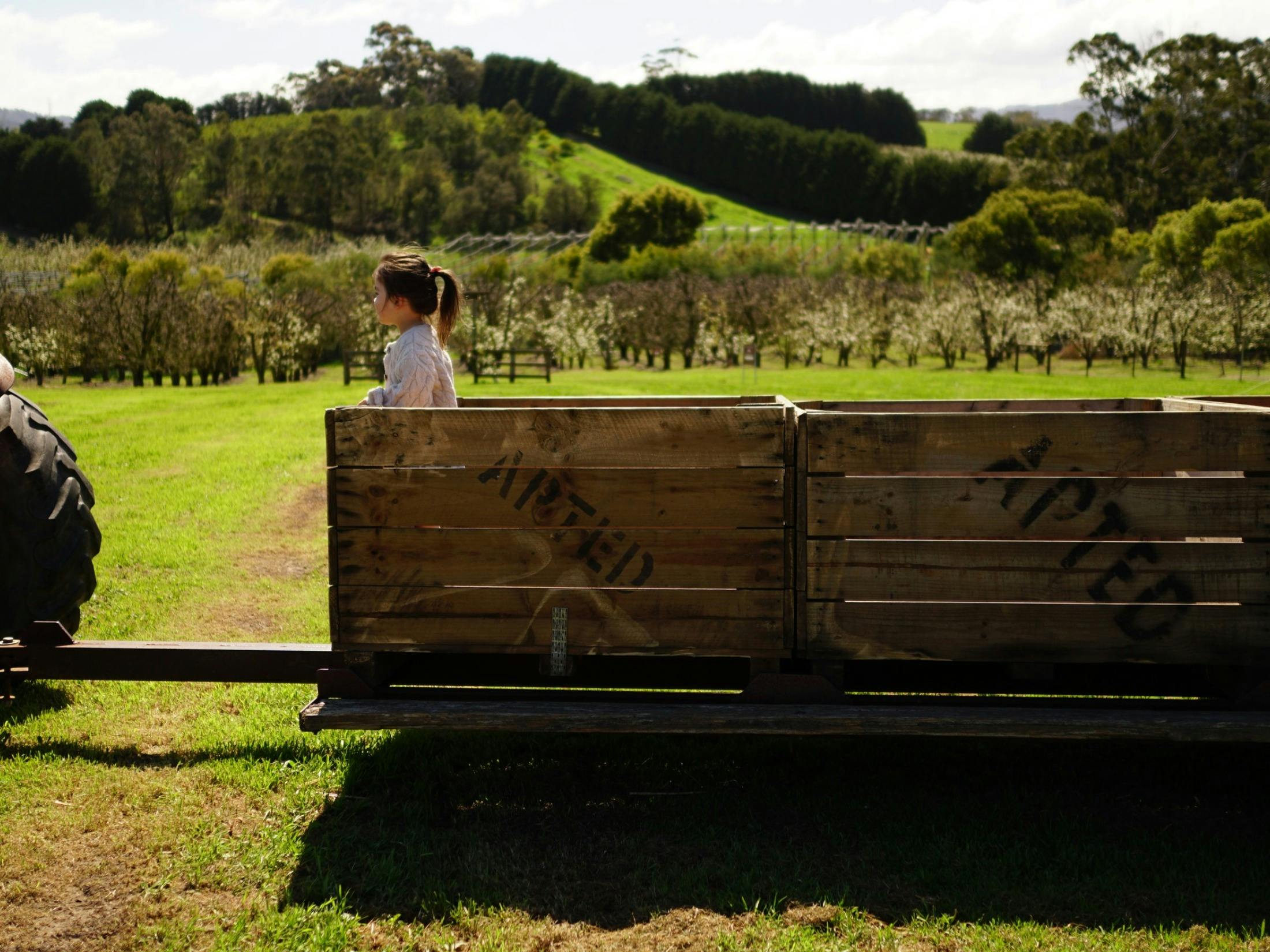 A photo of a girl in a vintage apple bin behind an old tracgtor.