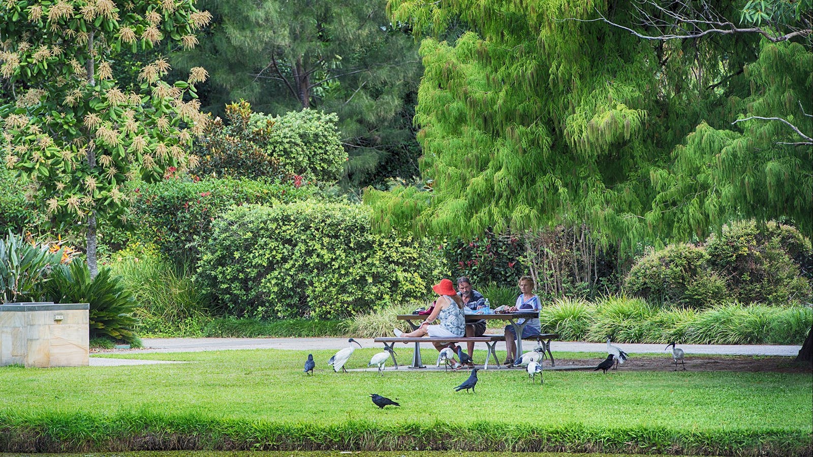 Gold Coast Regional Botanic Gardens