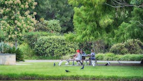 Gold Coast Regional Botanic Gardens