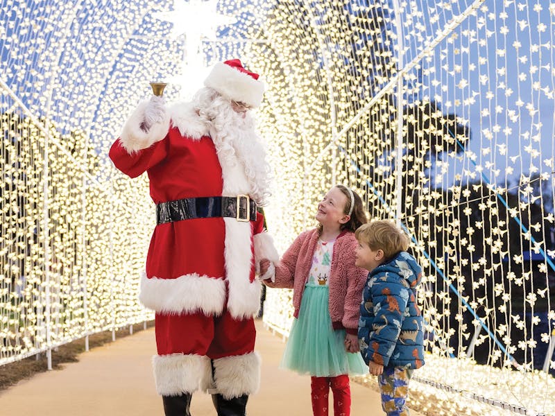 Image for Adventure Park's Christmas Festival of Lights