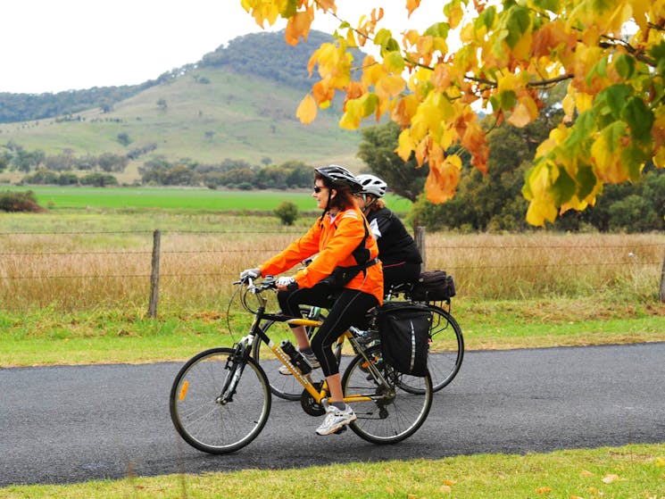 Cycling in Mudgee