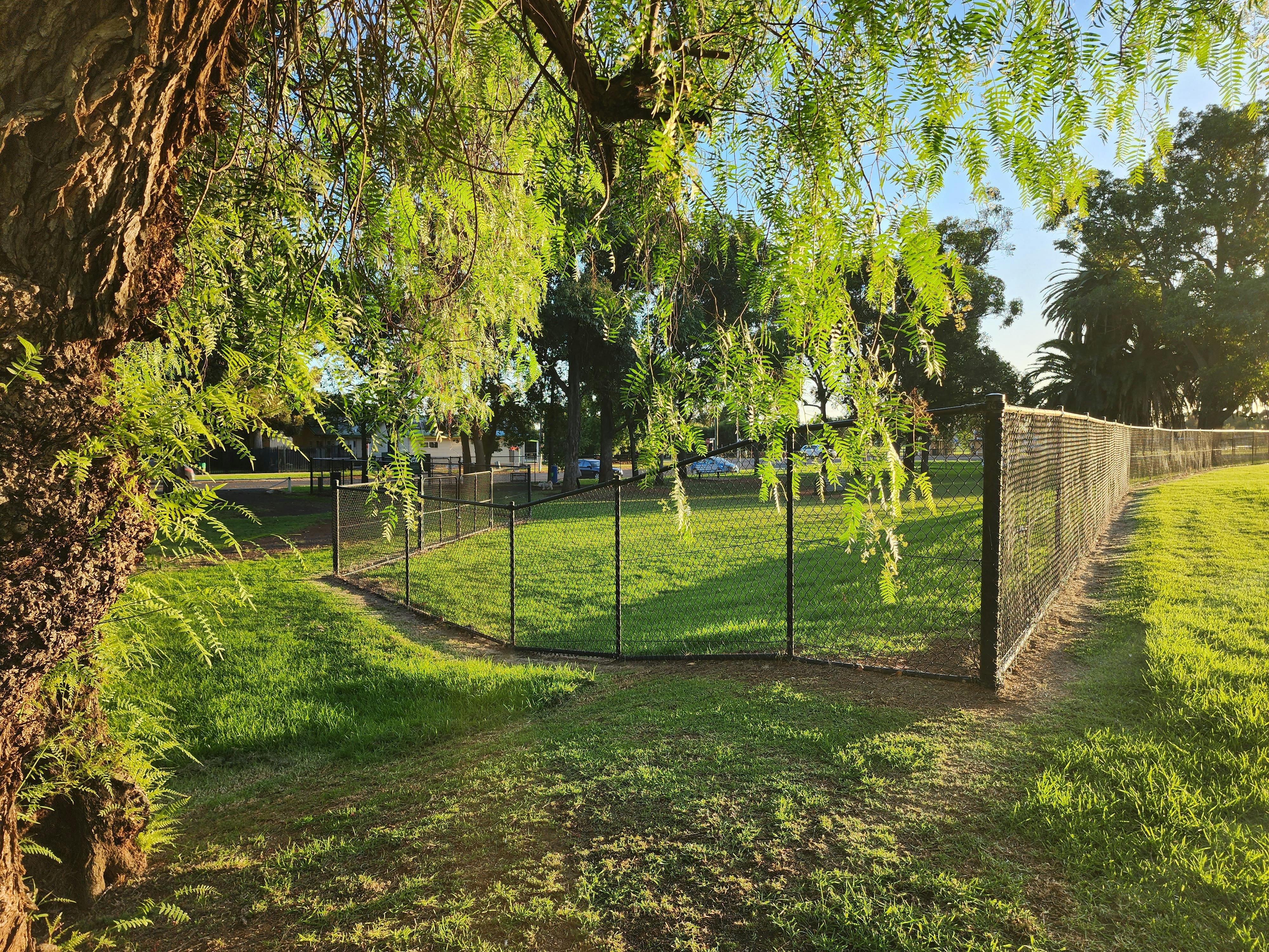 Off leash dog park - Burley Griffin Community Gardens