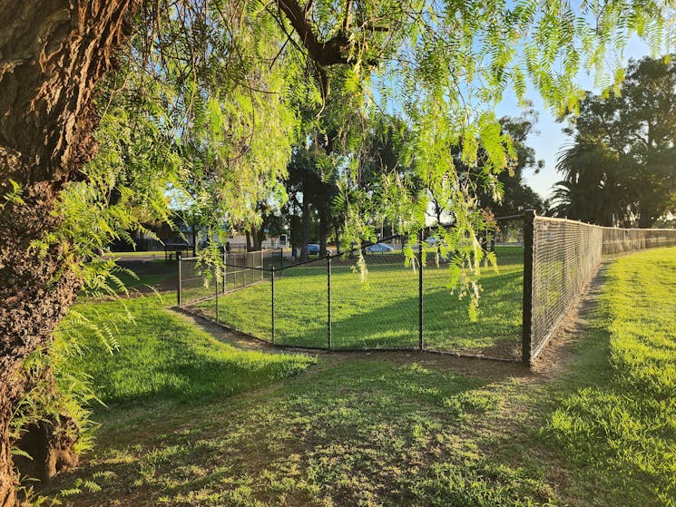 Off leash dog park - Burley Griffin Community Gardens