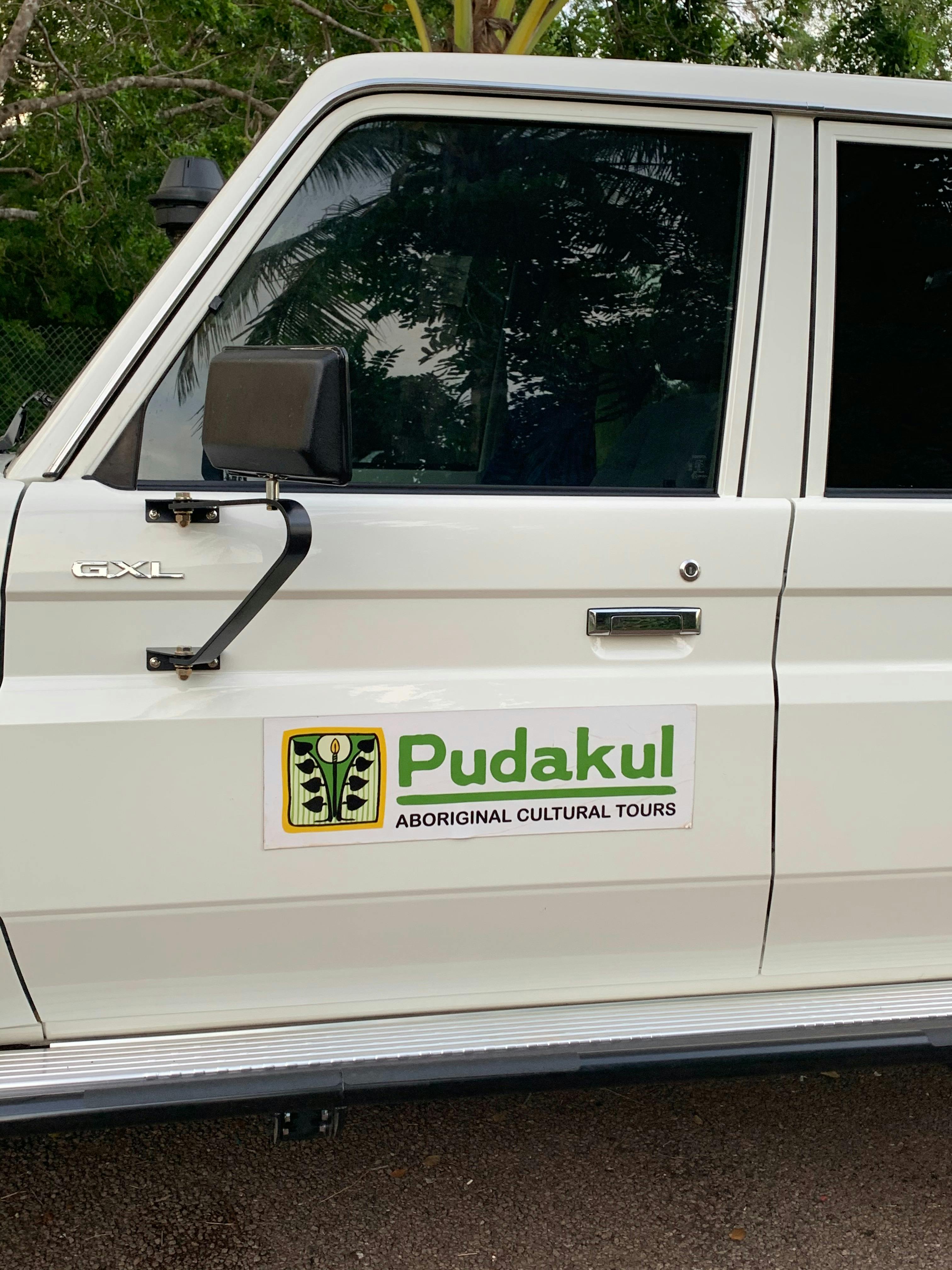 Kakadu Rock Art Day Tour