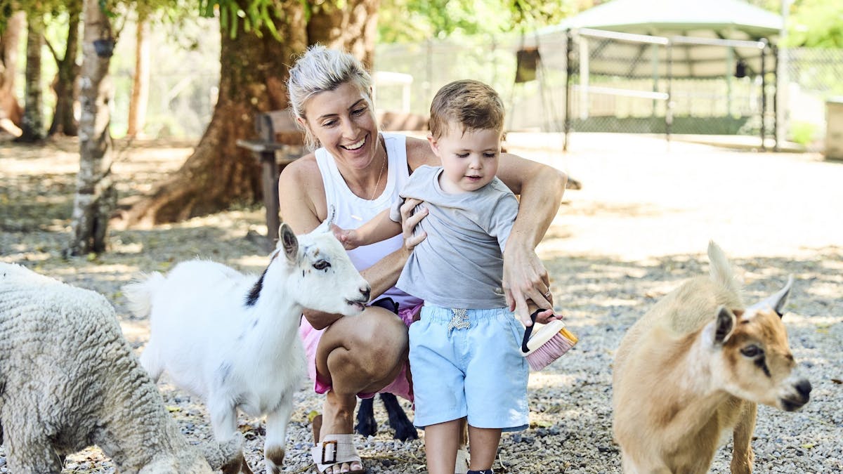 Farm Friends