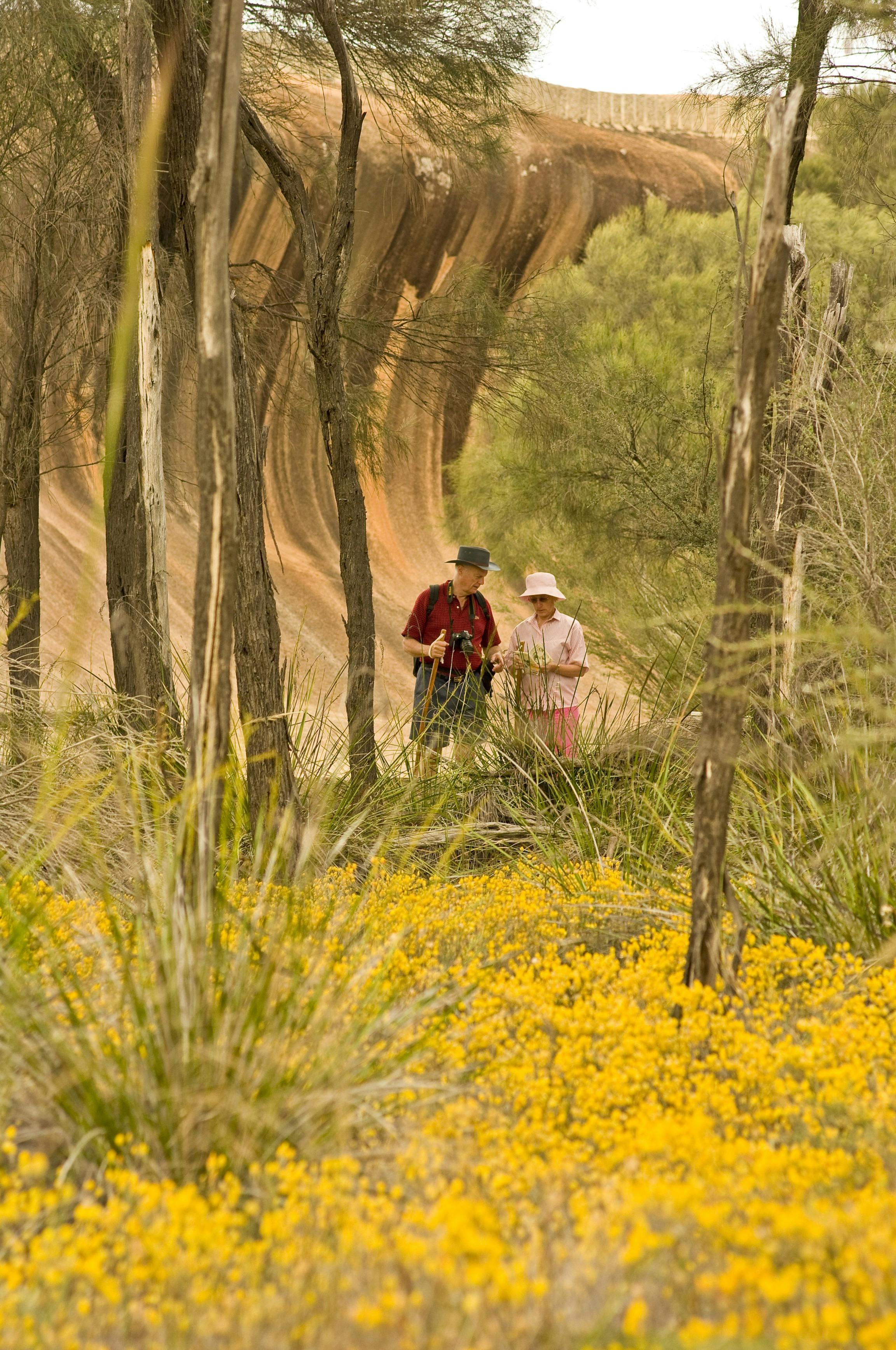 Wave Rock Wildflower Trail, Hyden, Western Australia