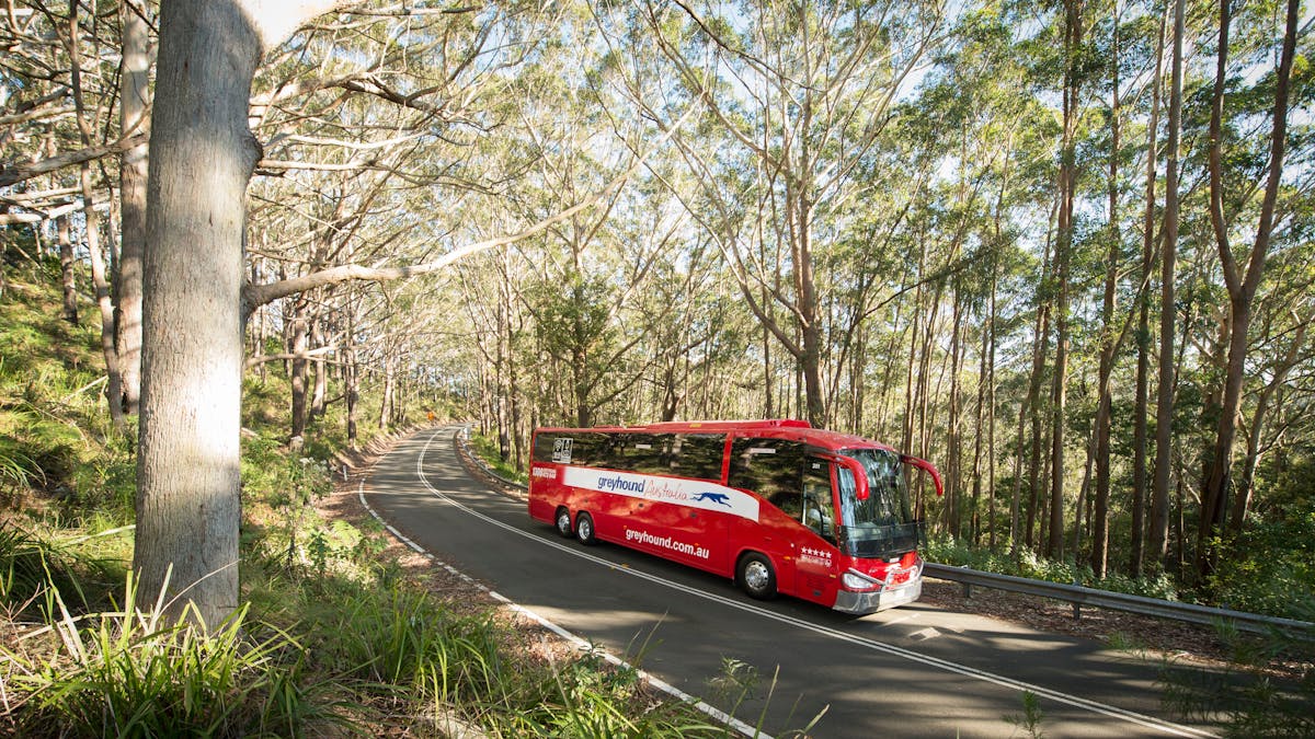 Luxury Coach Bust to Beach Luxury Coach Bust to Beach