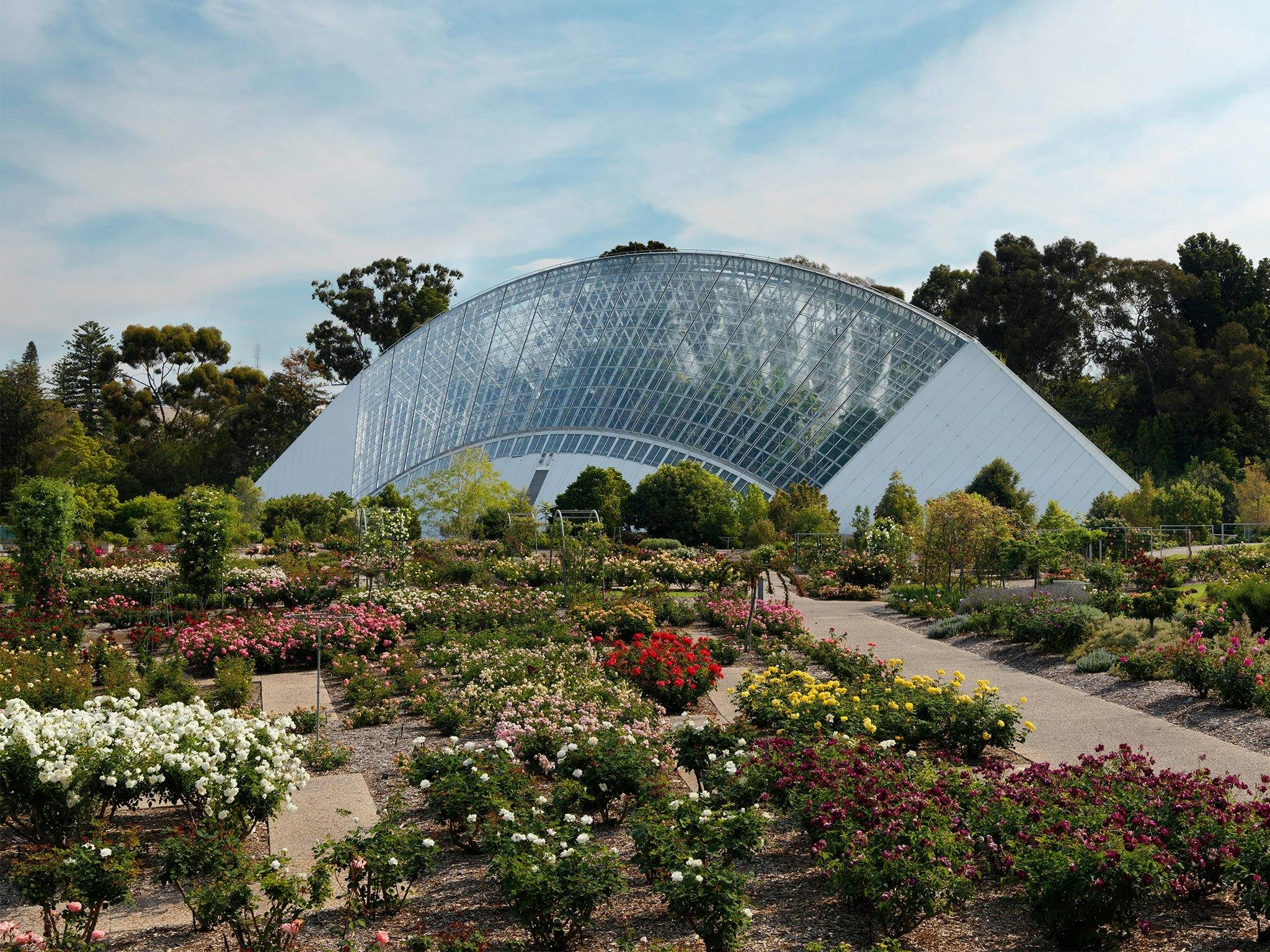 botanic gardens adelaide tour