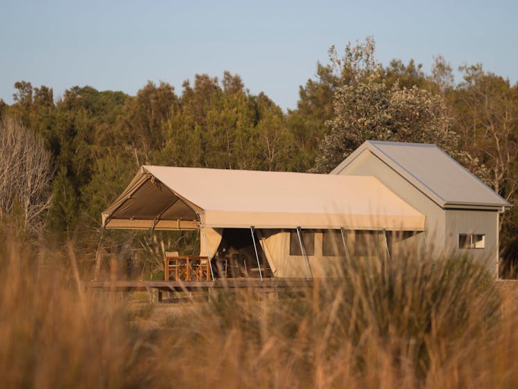 Luxury camping safari tent Bawley Point