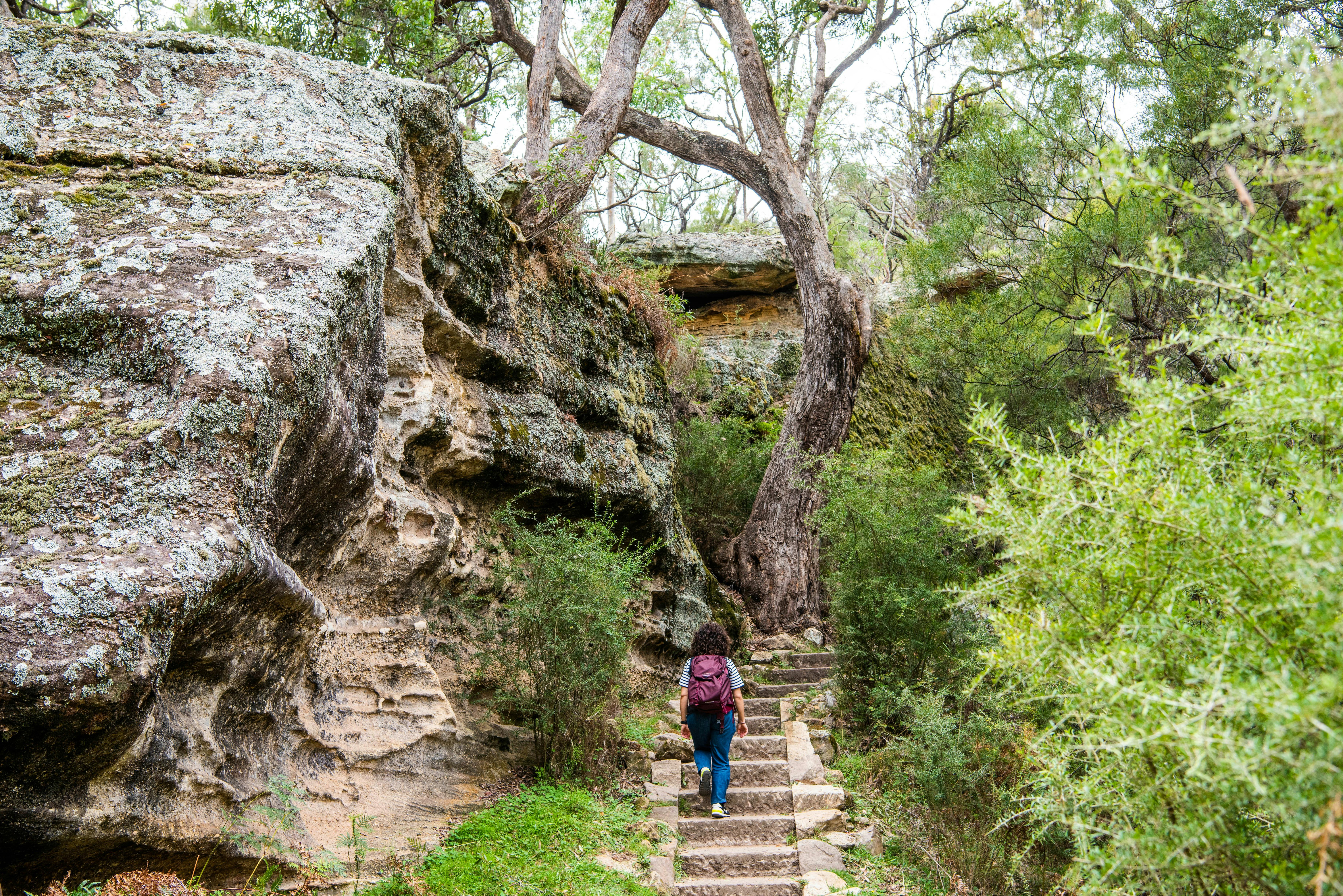 The Drip walking track