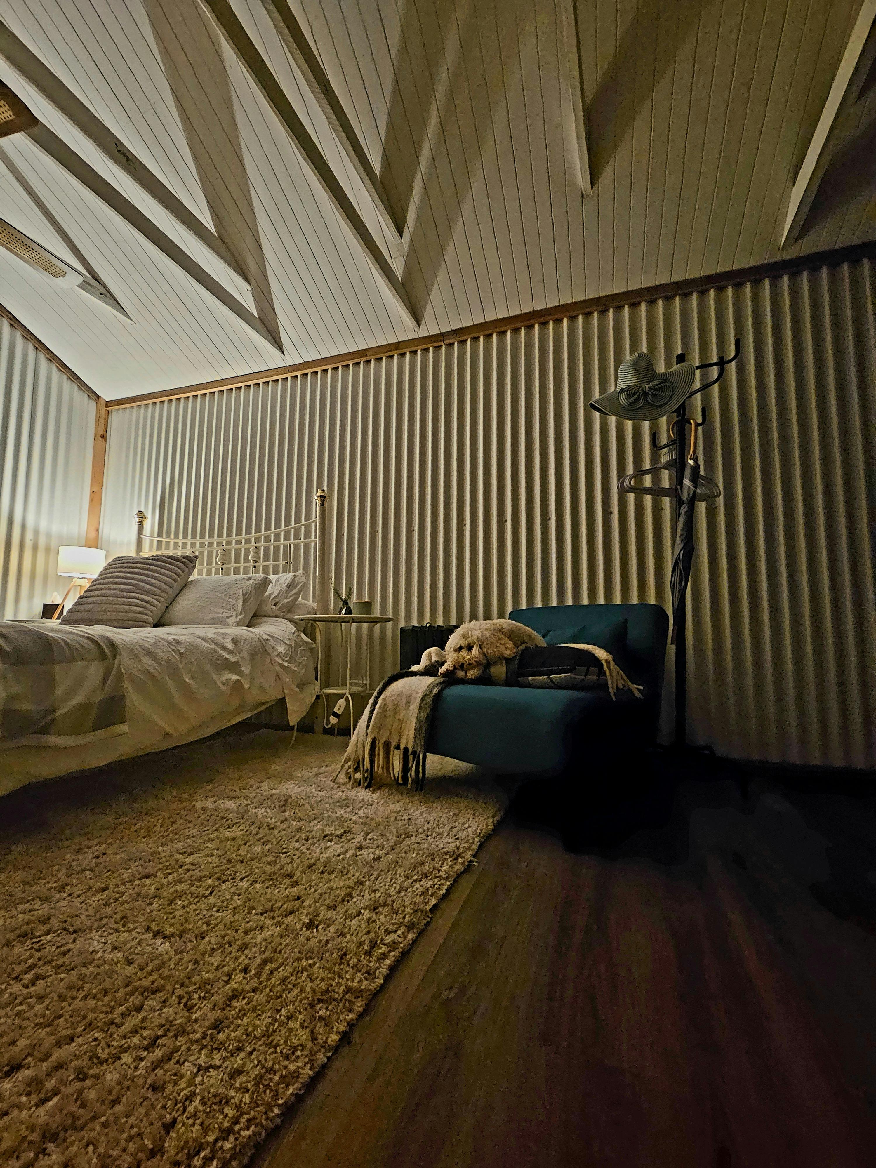 pet friendly accommodation