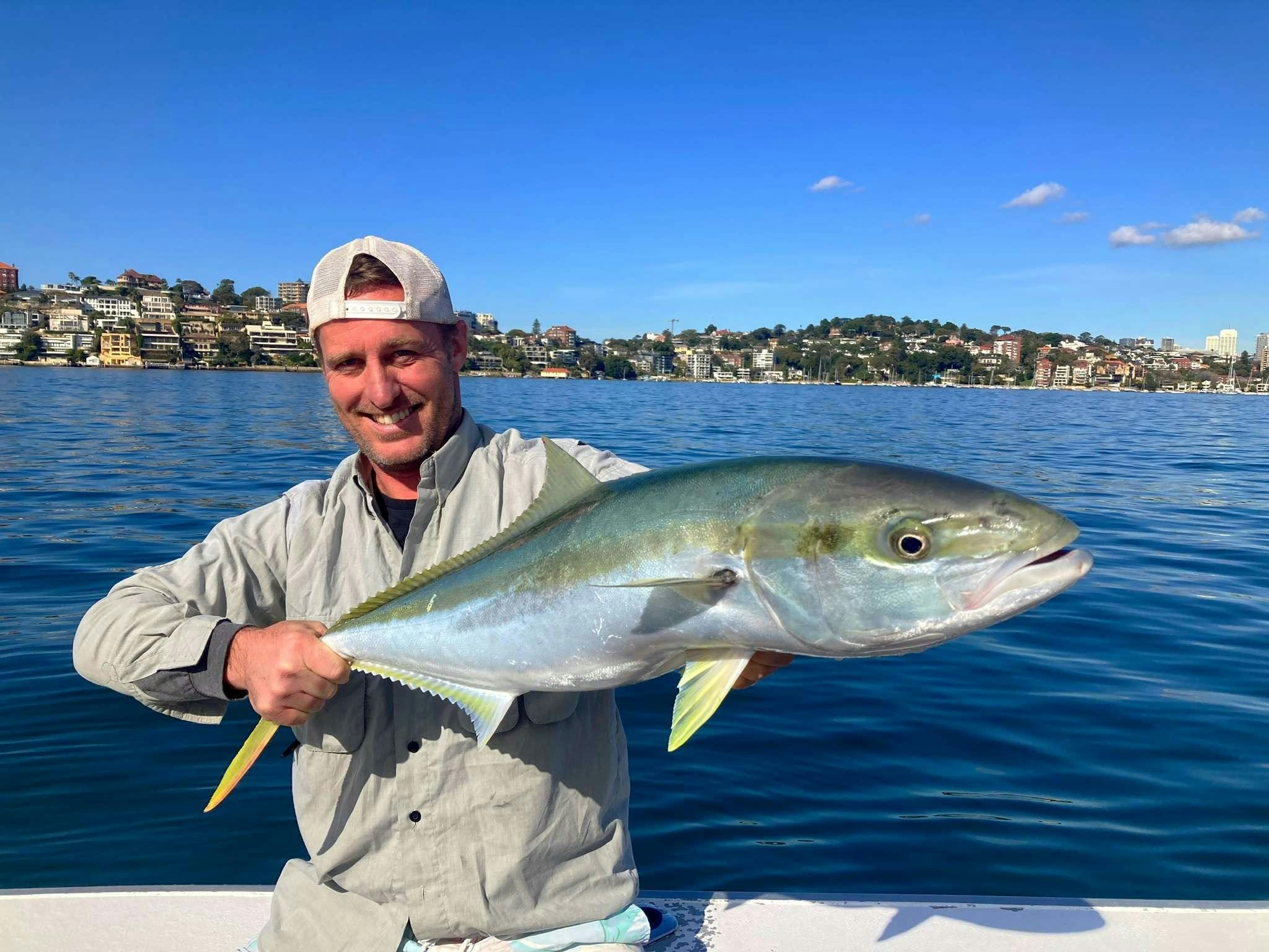 Angler holding a large kingfish on the harbour