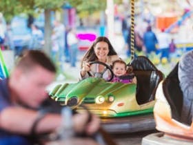Dodgem Cars