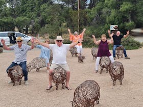 Guests riding the sheep