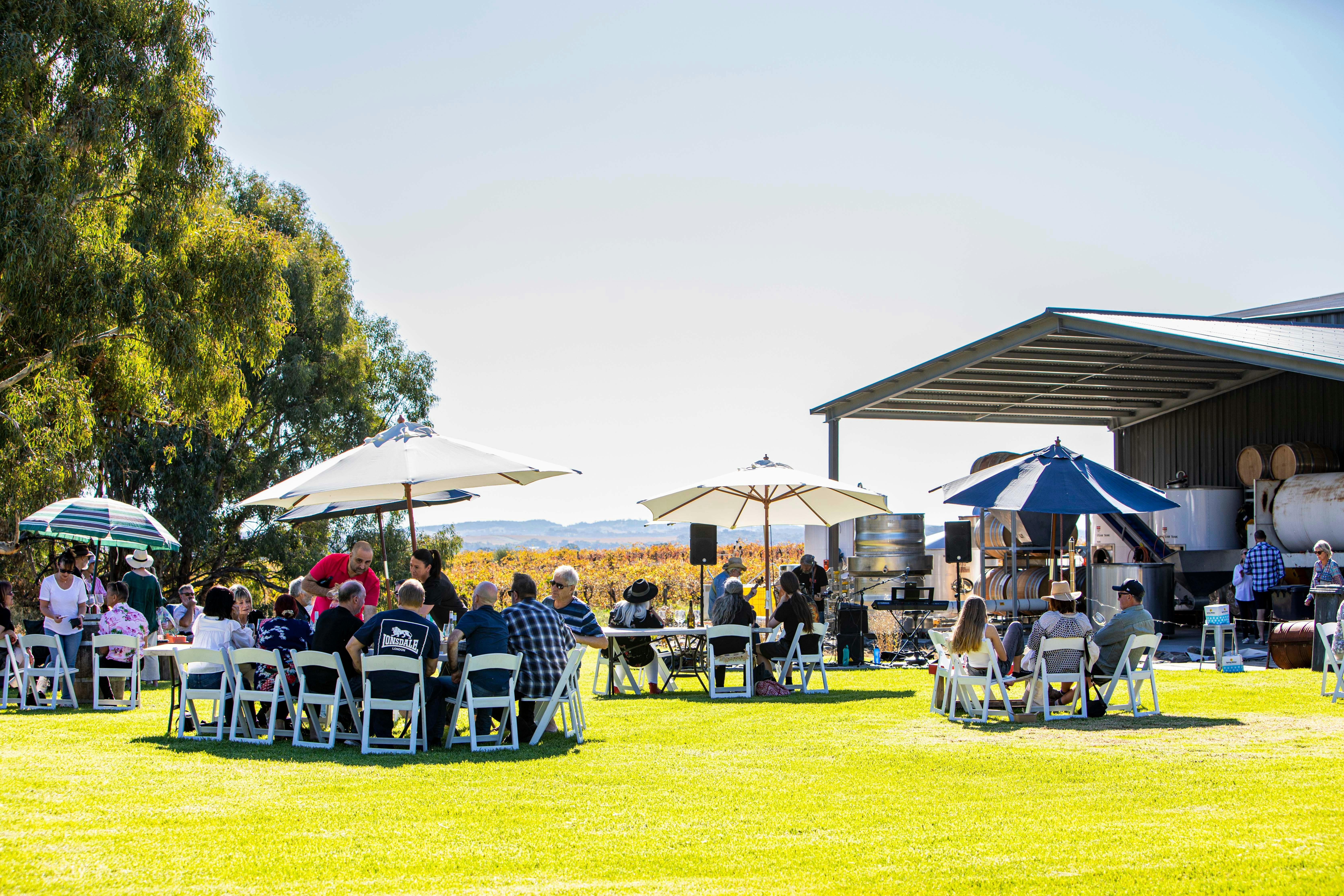Guests relaxing and enjoying quality wines at Tim Smith Wines.